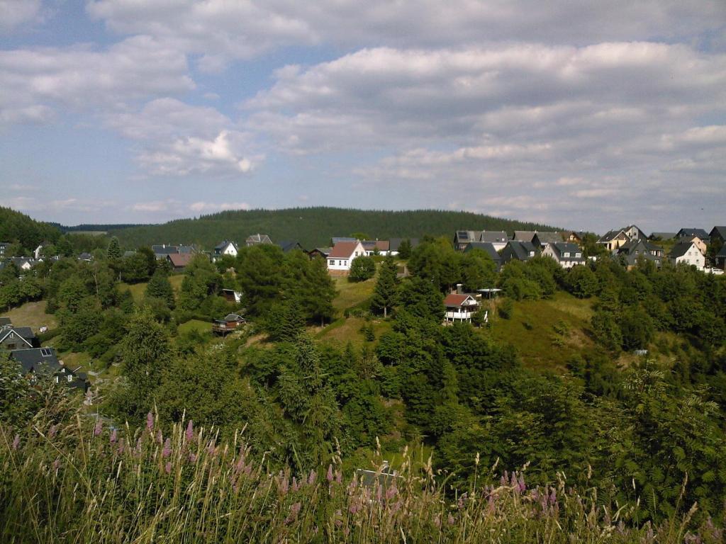 een dorp op een heuvel met huizen en bomen bij Waldblick - a48825 in Lauscha