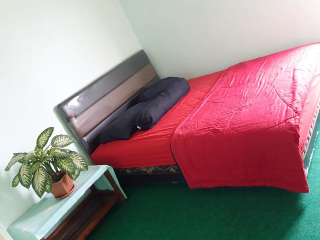 a red bed in a room with a potted plant at Samikrasan Homestay in Tlekung