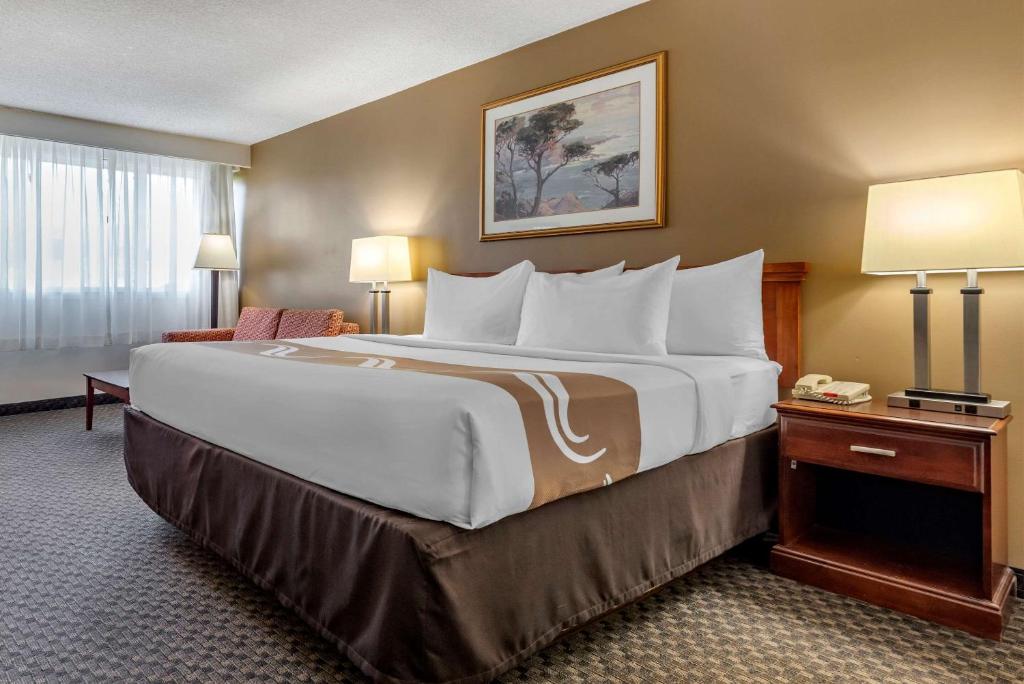 Quality Inn & Suites Vestal Binghamton near University - キングルーム - 禁煙