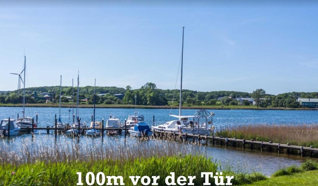 Bild i bildgalleri på Schleibungalow Nr15 zw Ostsee und Schlei i Kappeln
