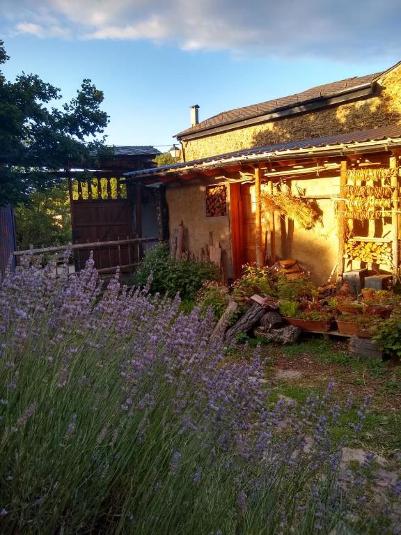 Zahrada ubytování Hostal D'Éller