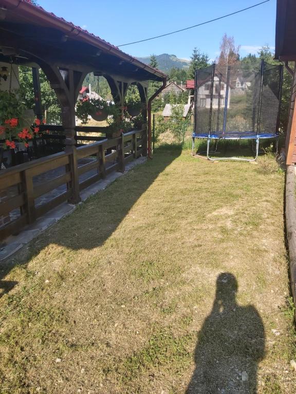 Zahrada ubytování CASA IKA&MATEI