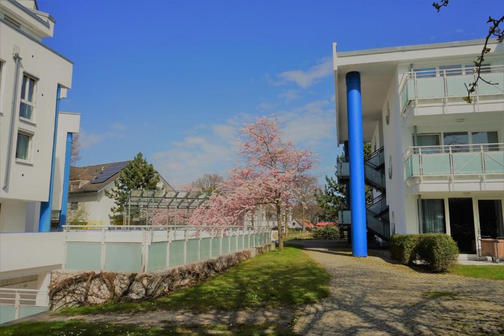 un bâtiment avec une clôture et un arbre avec des fleurs roses dans l'établissement Am Kurhaus 410, Villa Kurpark PP 89, à Zingst