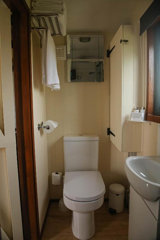 Shepherd hut with hot tub in John O Groats NC500