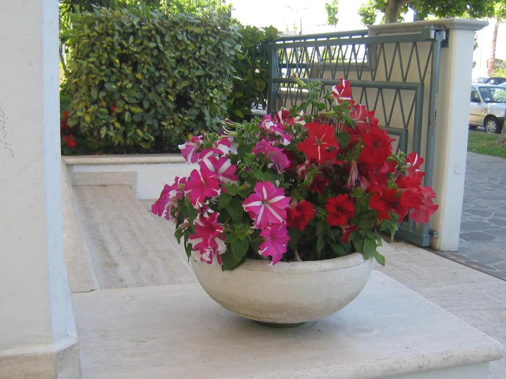 A garden outside Hotel Miramare