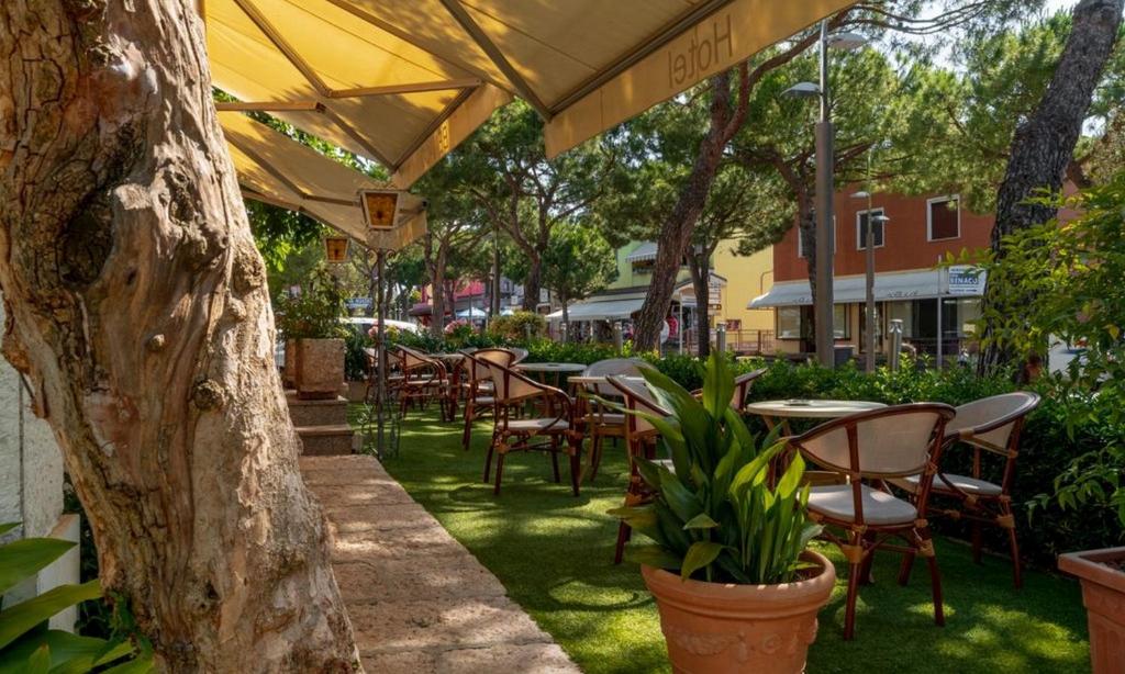 Zahrada ubytování Hotel Benaco