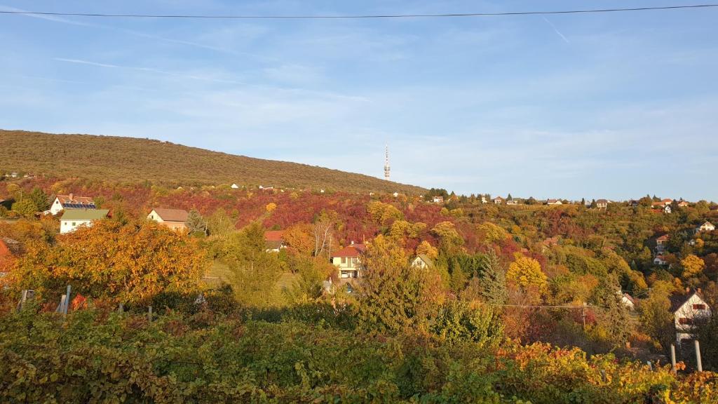 Hillside Cottage - Villa Con Una Camera Da Letto