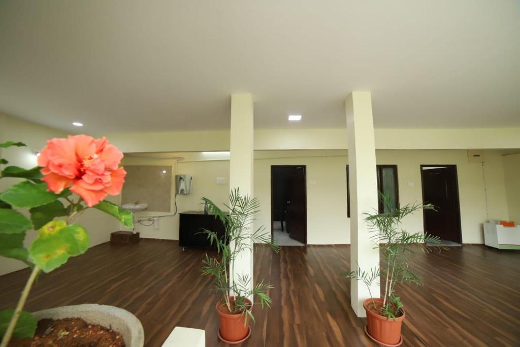 an empty room with potted plants on a wooden floor at Royal Home Stay deluxe Room in Tirupati
