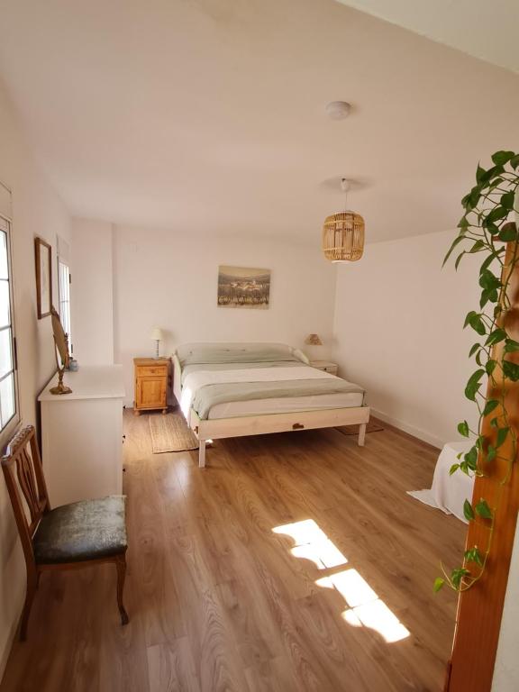 a bedroom with a bed and a wooden floor at River Ebro Apartments in Móra d'Ebre