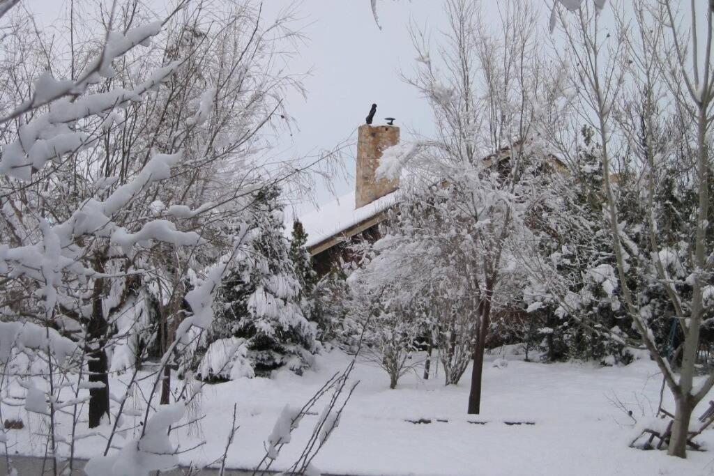 una casa cubierta de nieve con árboles delante en Casa en el campo con encanto en Almansa