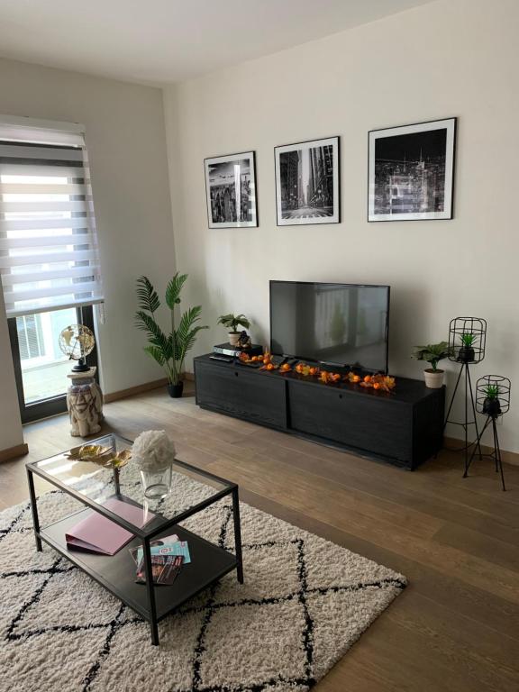 Area soggiorno di BnB Antwerp Centrum