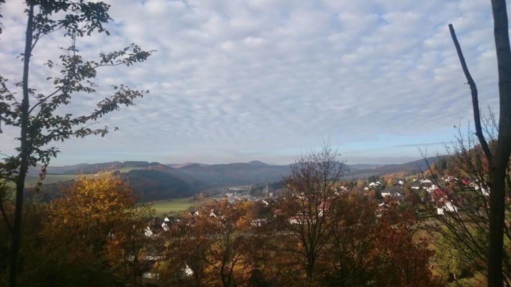 uitzicht op een stad in een vallei met bomen bij Ferienhaus Dornhecke in Hatzfeld