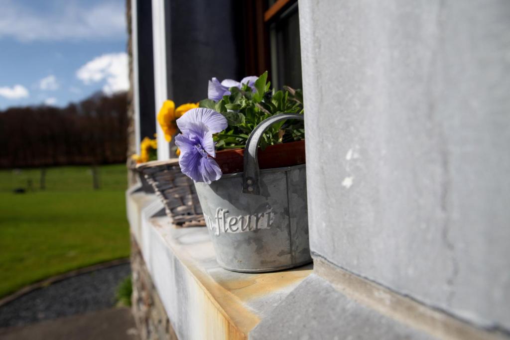 Giardino di Une parenthèse en Ardenne