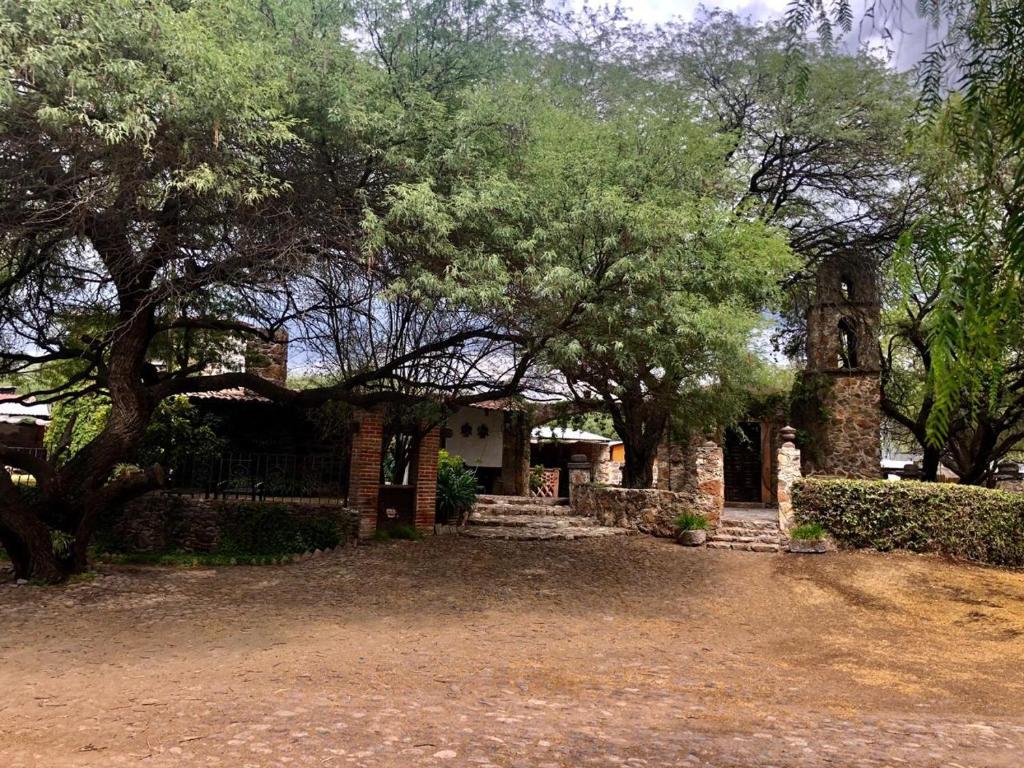 Zahrada ubytování Cortijo 7