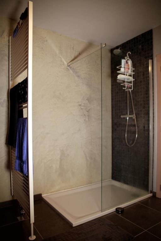 una doccia con una porta in vetro in un bagno di Une parenthèse en Ardenne a Nollevaux
