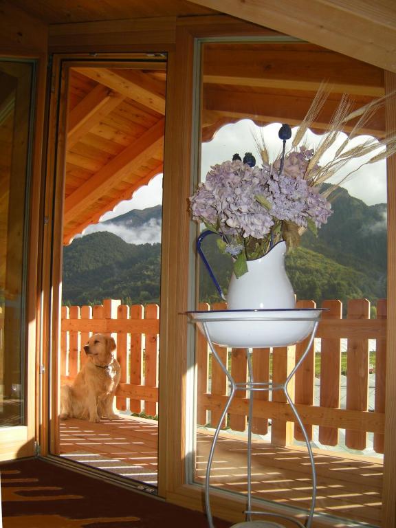 Nespecifikovaný výhled na hory nebo výhled na hory při pohledu z bed and breakfast