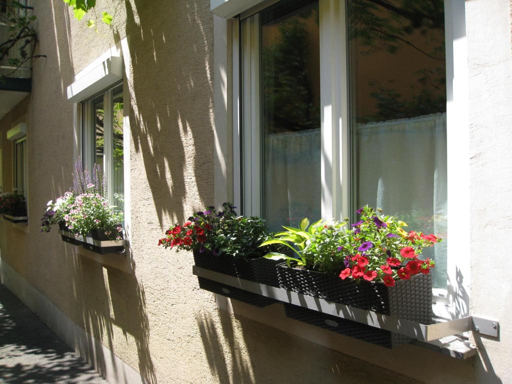 Zahrada ubytování Hotel Möve garni