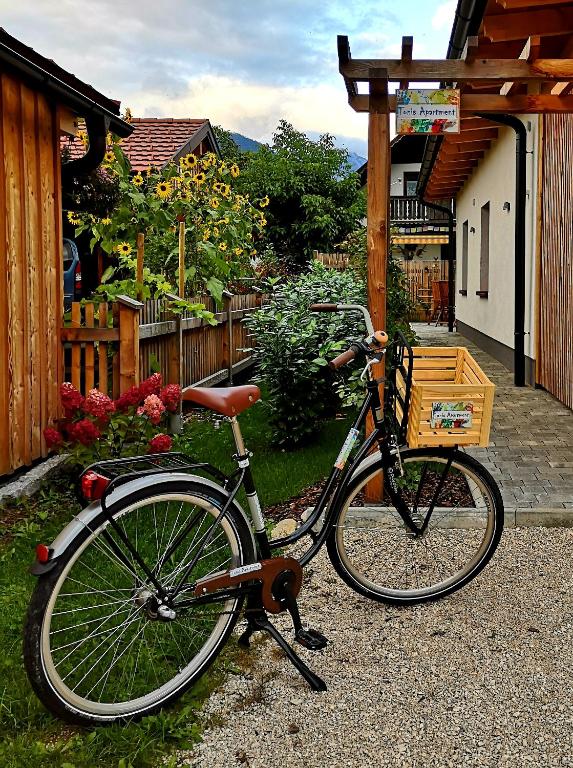 Jazda na bicykli v okolí ubytovania Tonis Apartment