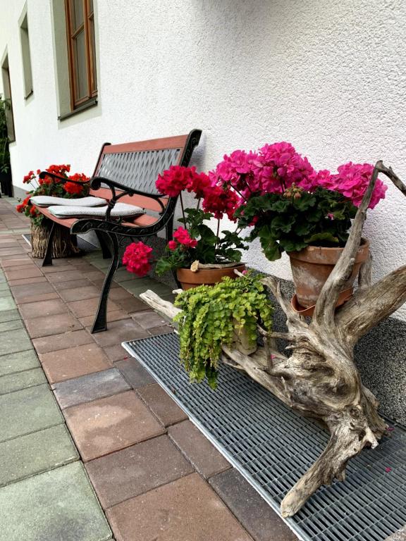 Zahrada ubytování Appartement Vierthaler