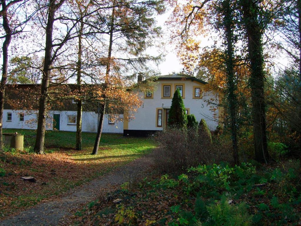 a white house in the middle of a forest at Hof Reitmoor in Tackesdorf