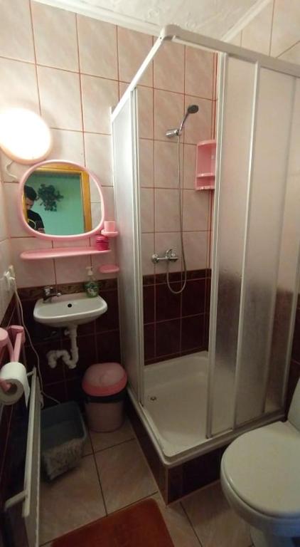 Baðherbergi á Letni Domek , Ogrzewany, z bilardem