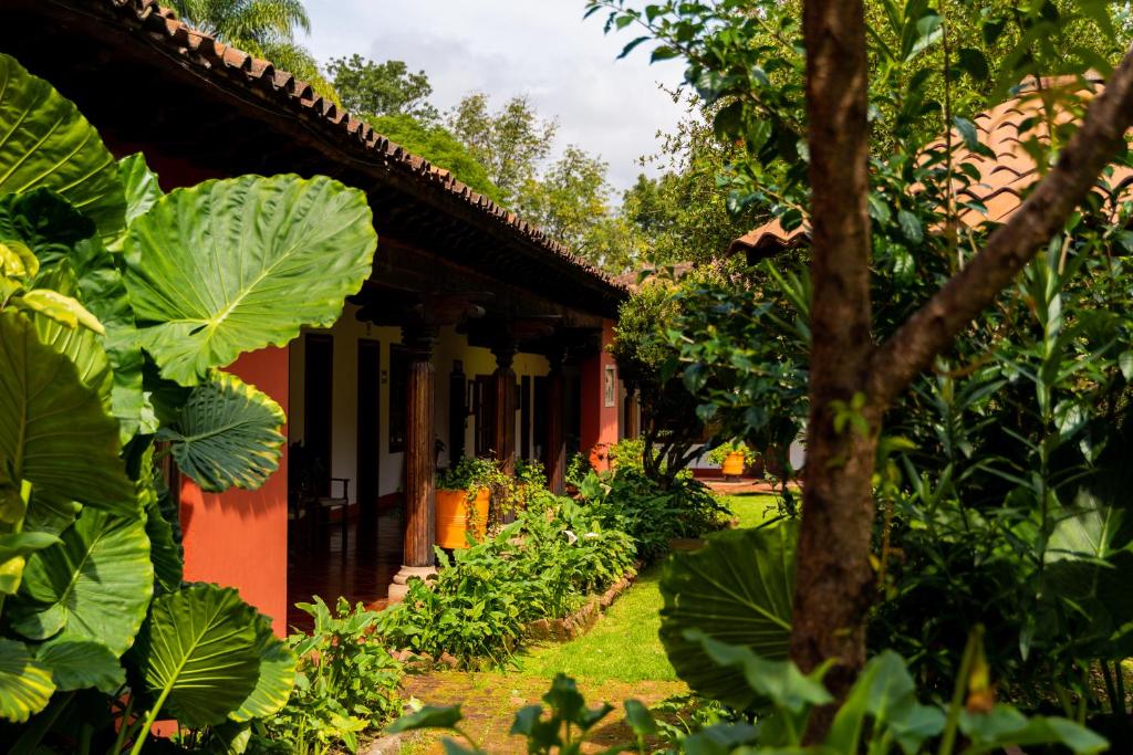 Zahrada ubytování Hostería San Felipe