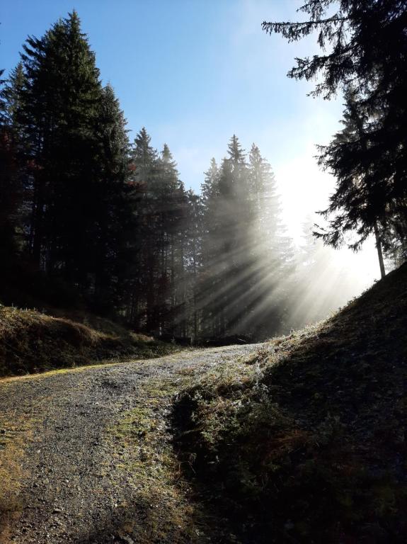 Příroda nedaleko apartmánu