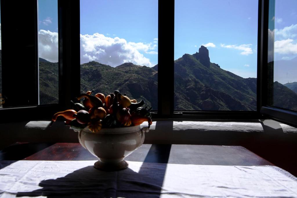 a vase with a plant in front of a window at La Ventana del Bentayga in Tejeda