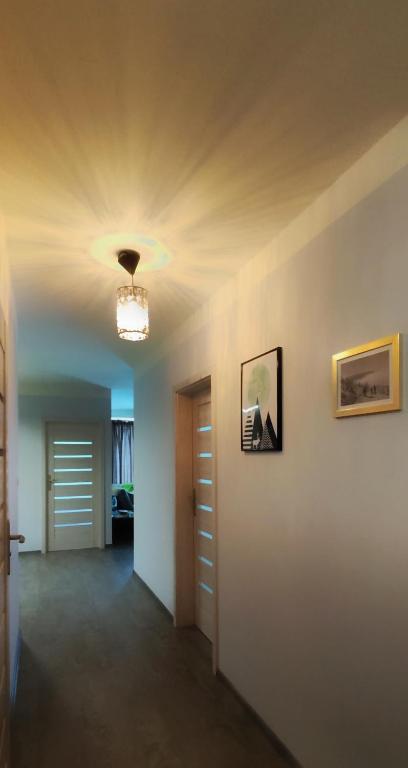 Fajny Kąt - Apartamenty w centrum, najwyższe opinie gości - 14