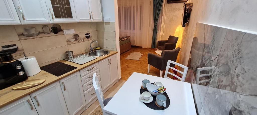 a kitchen with a counter and a table in a room at OLIVERA APARTMENT in Belgrade