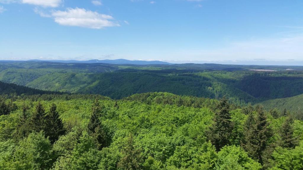 una vista aérea de un bosque de árboles verdes en Poolhaus im Südharz, en Ilfeld