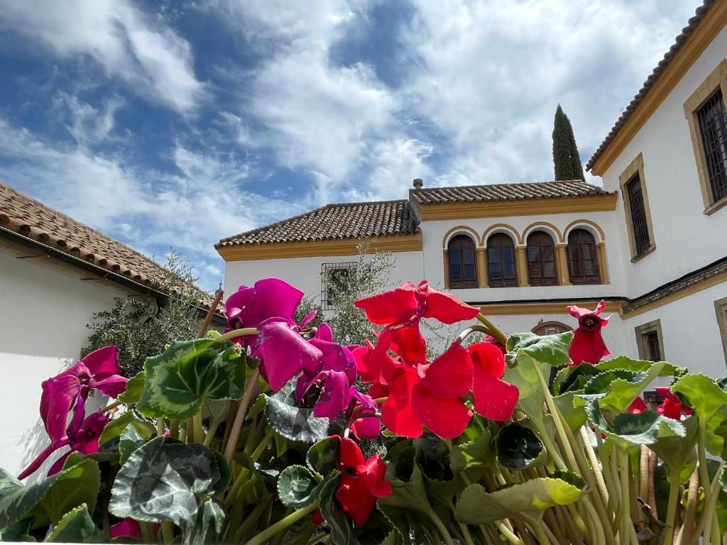 La Llave de la Judería Hotel Boutique - Resim 25