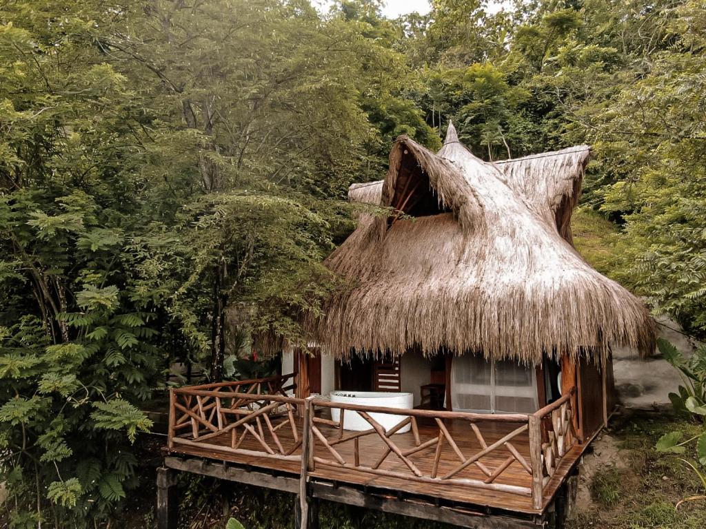 Cabaña pequeña con techo de paja en el bosque en Refugio Monte Oscuro, en Las Mercedes