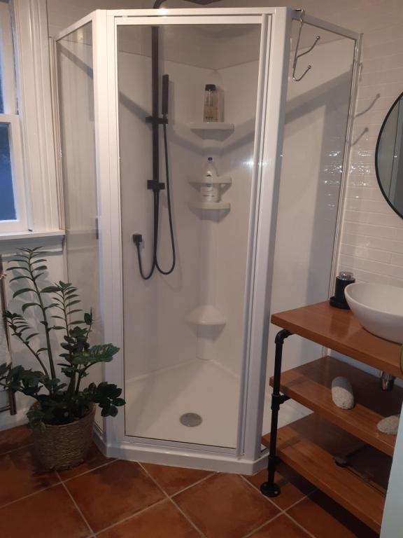 Photo from Harbour View Cottage in Auckland, Auckland Region, New Zealand