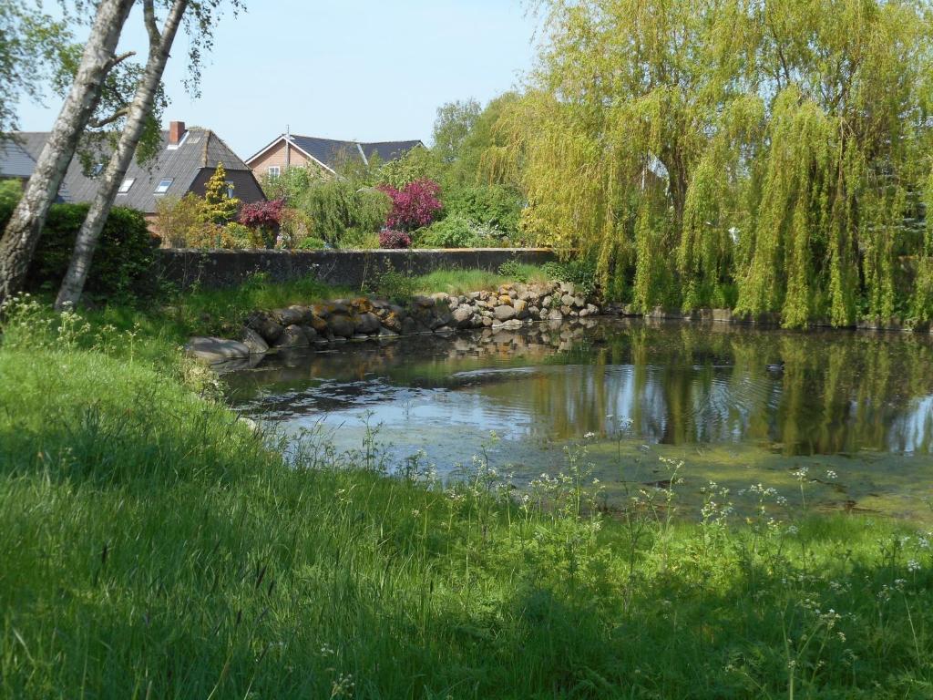 a pond in a yard with grass and trees at Ferienhof Bisdorf "Steilküste" in Bisdorf