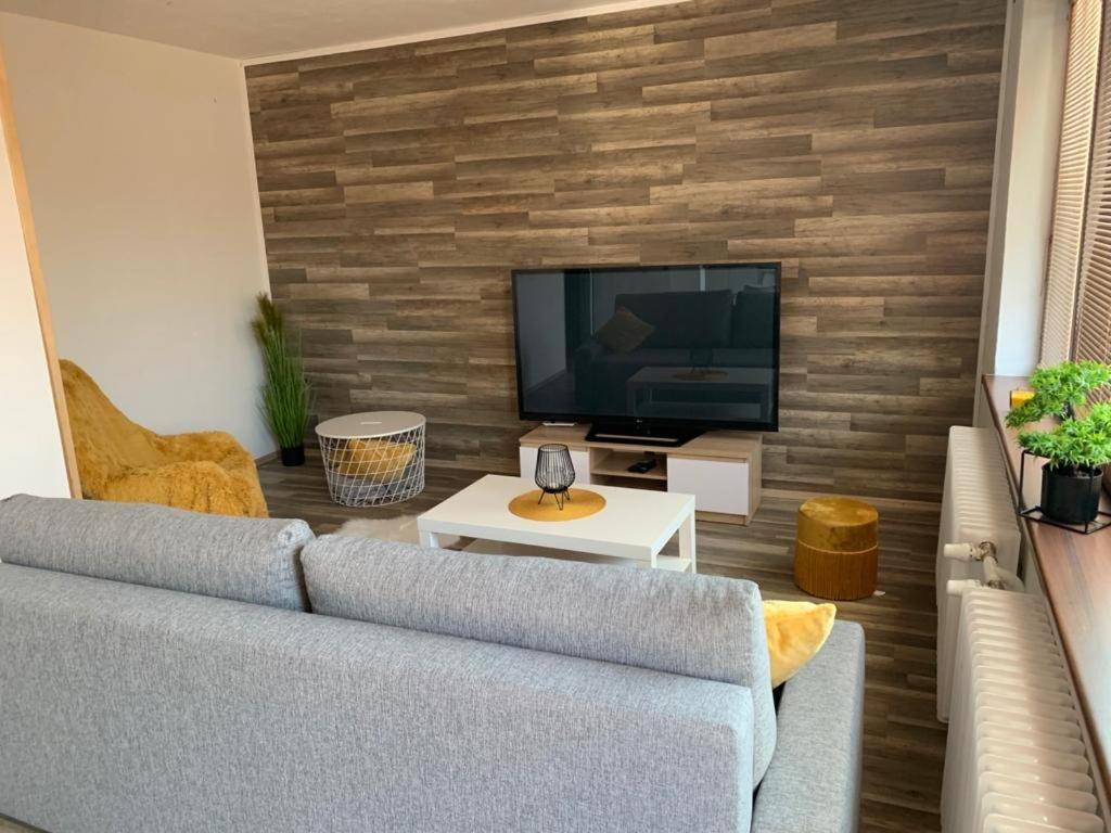 ein Wohnzimmer mit einem Sofa und einem TV in der Unterkunft Ubytování u koupaliště in Velké Meziříčí