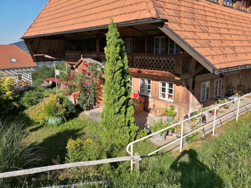 a house with a tree in front of it at Ferienwohnung In Mutter's Stube in Fröhnd