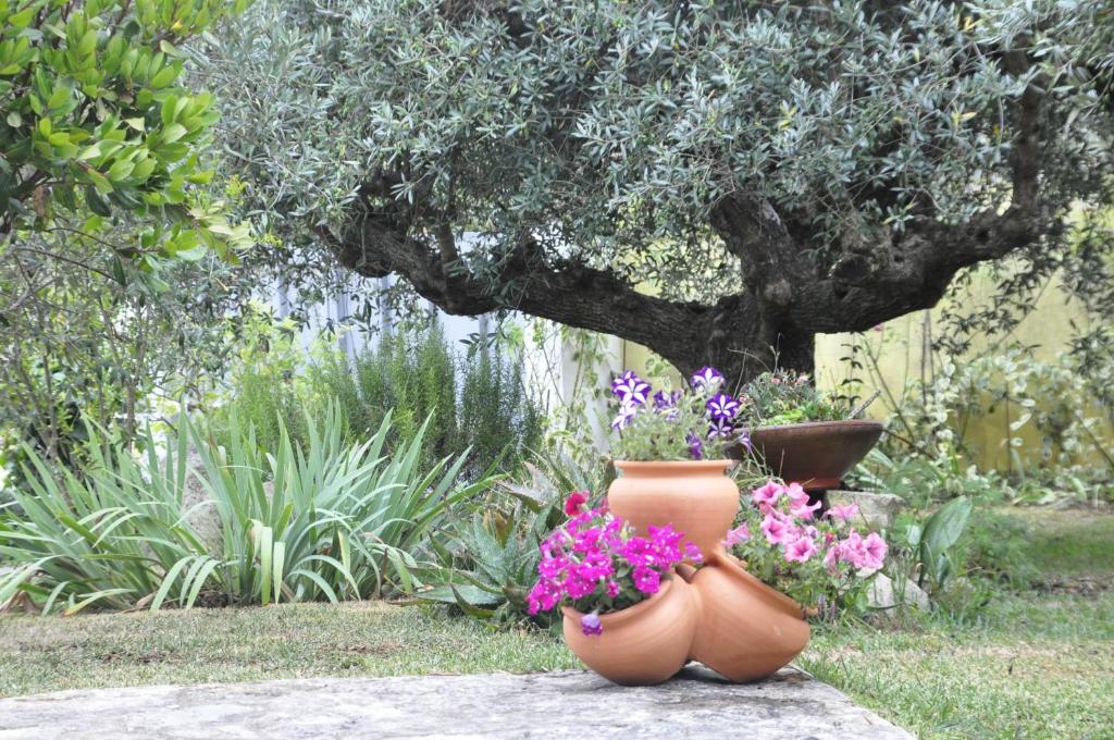 two pots with flowers in them sitting in a garden at O cantar dos passarinhos in Fátima