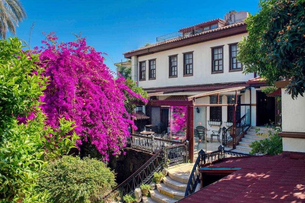 Zahrada ubytování Dogan Hotel