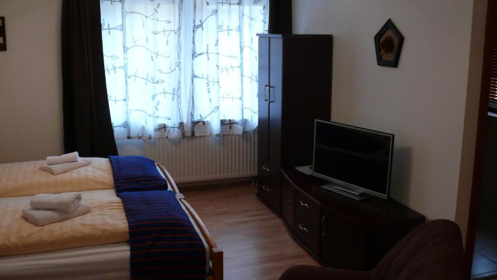 TV a/nebo společenská místnost v ubytování Mecklenburger Hof