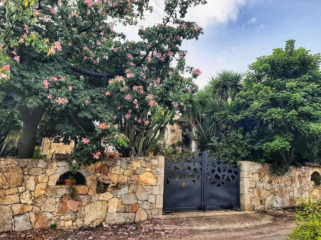 a stone fence with a gate with flowers on it at B&B Chorisia in San Teodoro