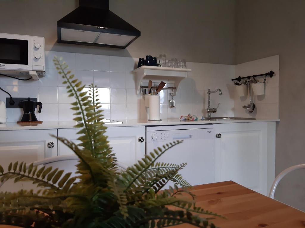 Kuchyň nebo kuchyňský kout v ubytování Apartamentos El Llanin