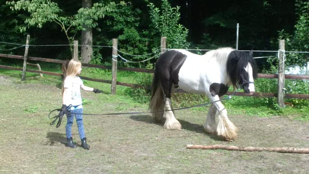 een klein meisje met een zwart-wit paard bij Gästehaus Bommelsen - Zi 5 in Bomlitz