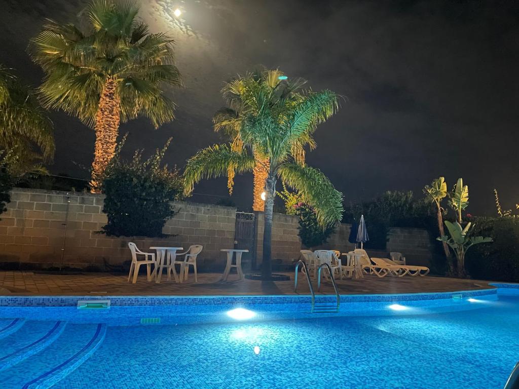 a swimming pool at night with palm trees and chairs at MARE AZZURRO in Campofelice di Roccella