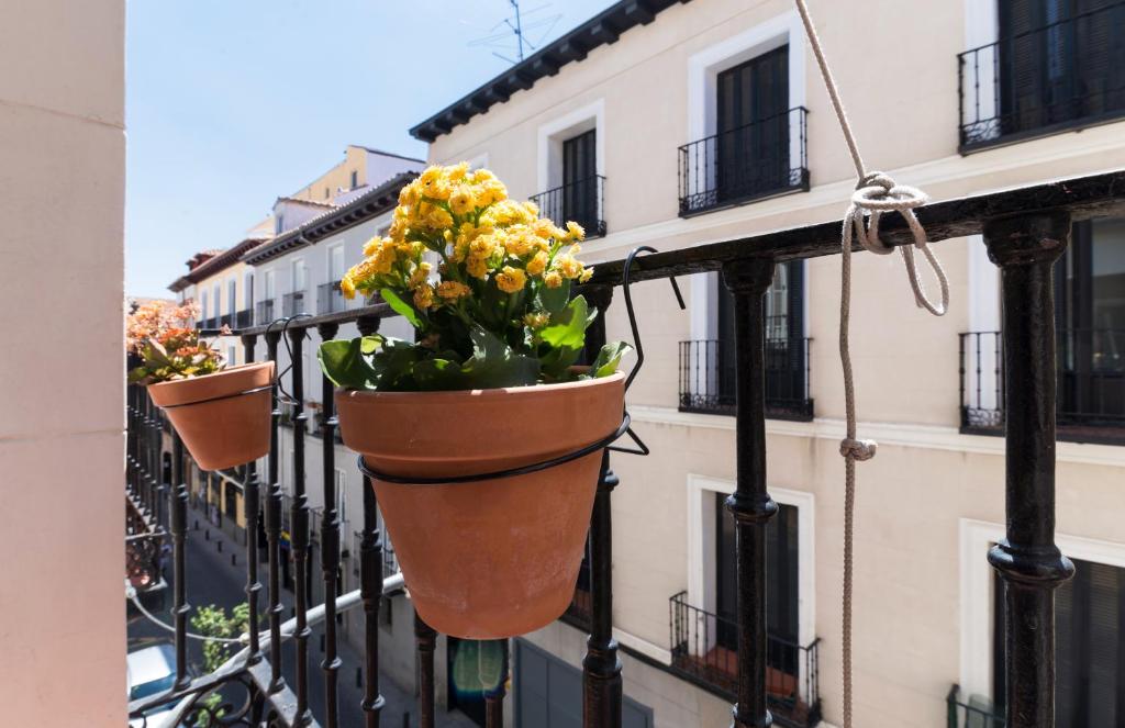 A balcony or terrace at Cálamo Guesthouse