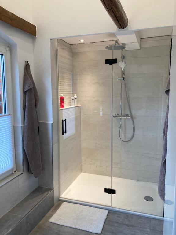 a shower with a glass door in a bathroom at Loft an der Seefahrtschule - Timmel in Großefehn 