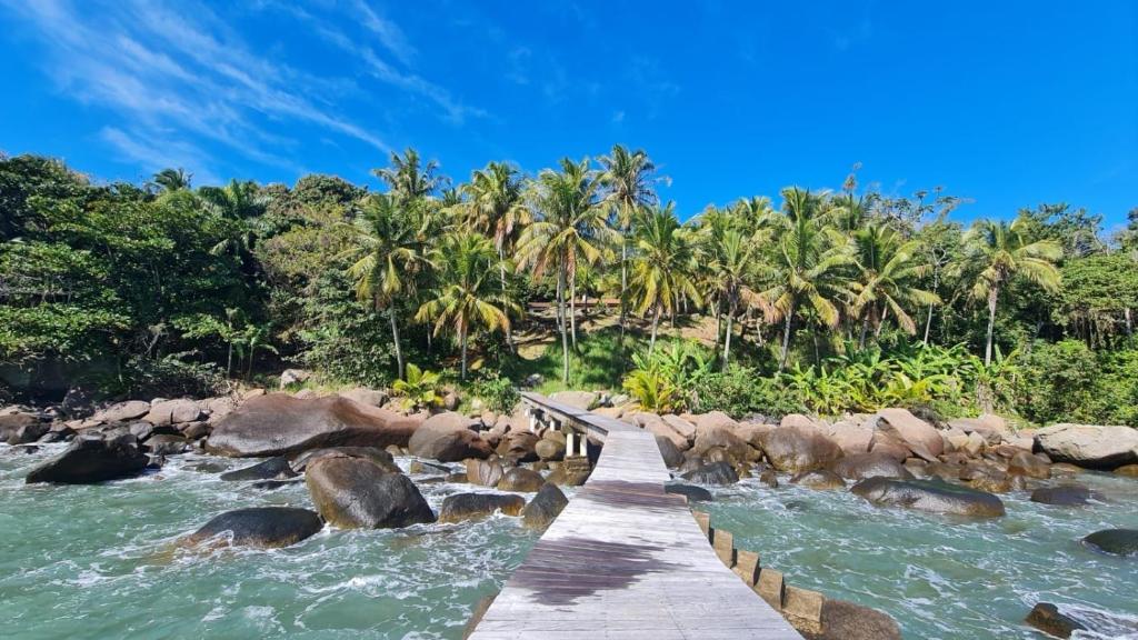 un puente de madera sobre el agua con palmeras en Elephant GuestHouse Beira Mar - Suítes com Café da Manhã, en Ilhabela