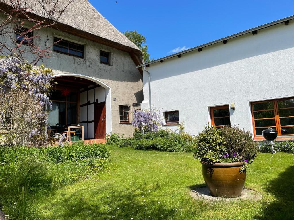 a building with a large pot of flowers in a yard at Feriendomizil Strandgut in Zierow