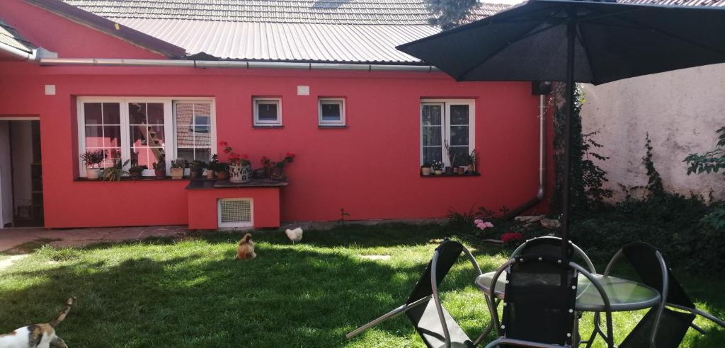 Zahrada ubytování Keramický a výtvarný ateliér Konešín