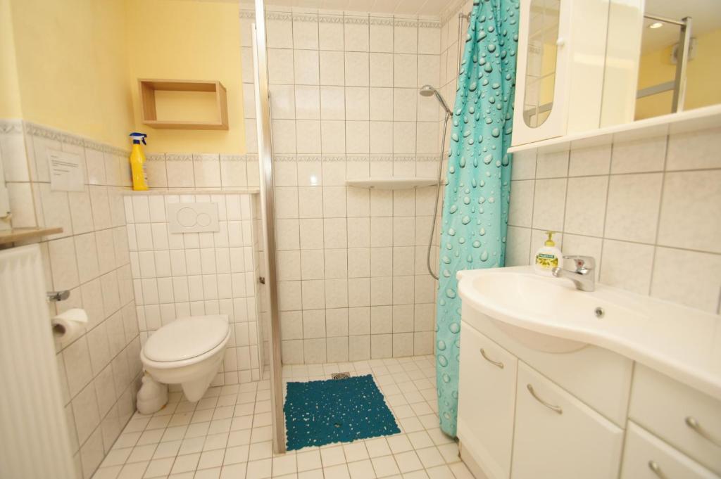 ein Bad mit einer Dusche, einem WC und einem Waschbecken in der Unterkunft Rudow in Dahme